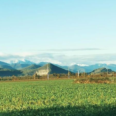 T3 Au Pied Des Pyrenees Daire Pointis-de-Riviere Dış mekan fotoğraf