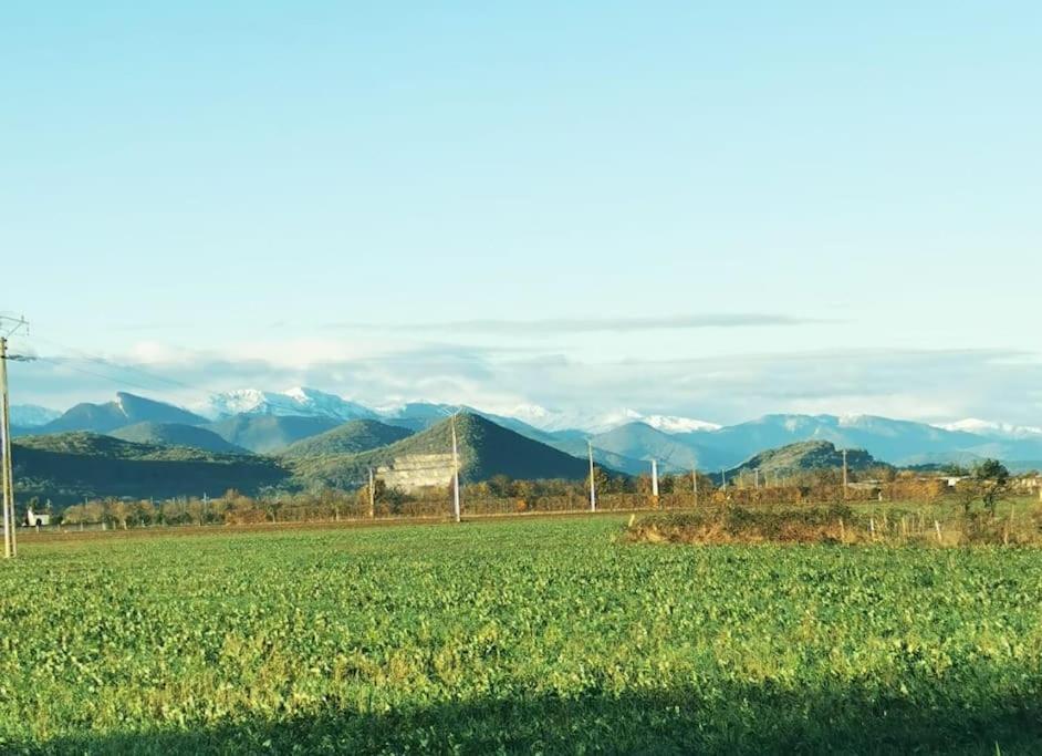 T3 Au Pied Des Pyrenees Daire Pointis-de-Riviere Dış mekan fotoğraf